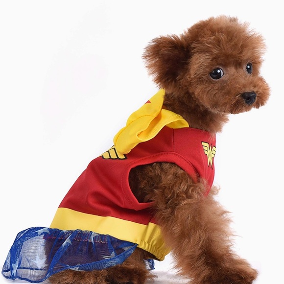 DC COMICS Wonder Women Costume Medium - Picture 3 of 6